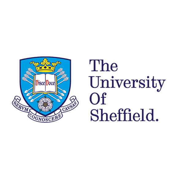 University of Sheffield Diversity & Inclusion Training Online